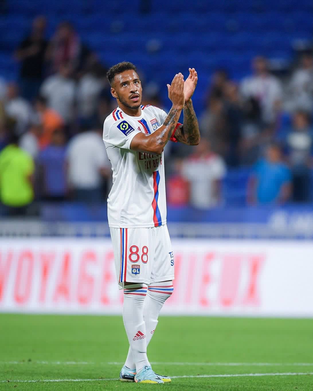 山茶油精炼设备 植物油脂成套设备