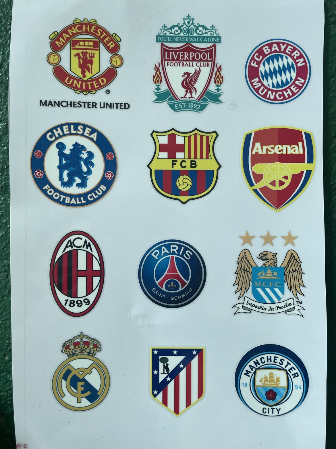 1吨-10吨茶籽油生产线