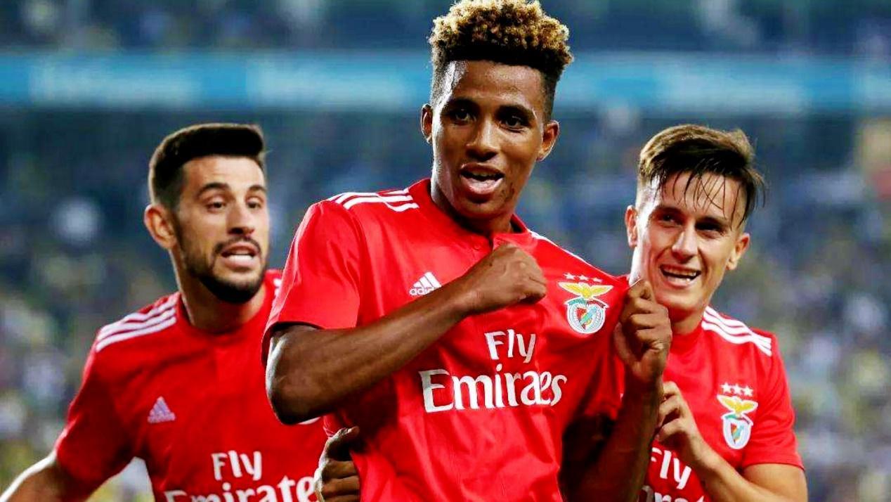 影响油脂吸附脱色的因素