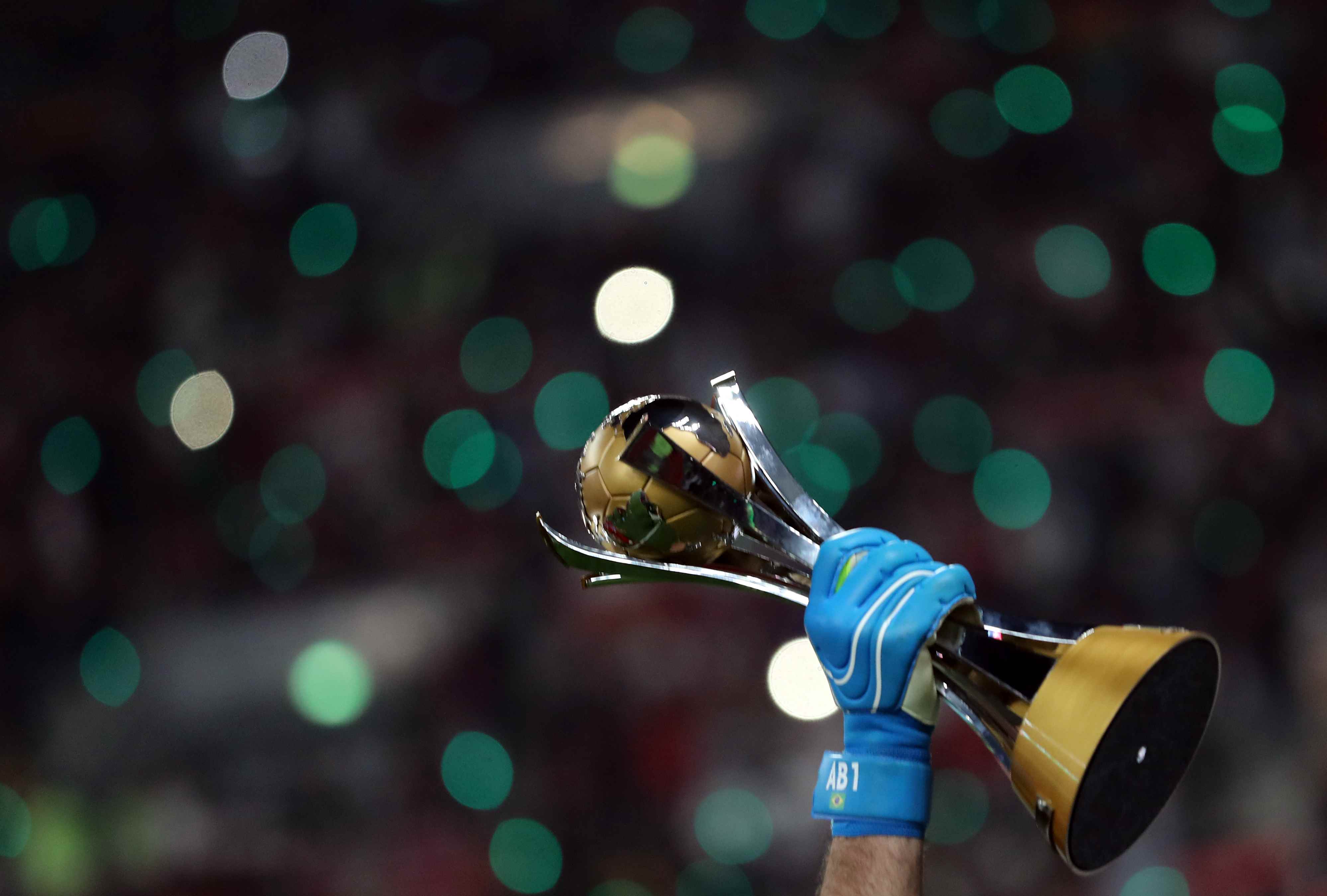 1吨-10吨茶籽油生产线